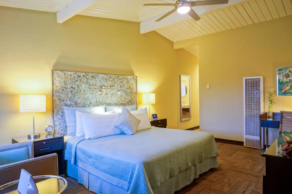 Superior King Room interior